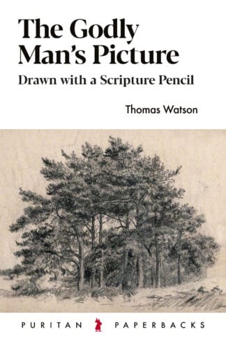 The Godly Man’s Picture